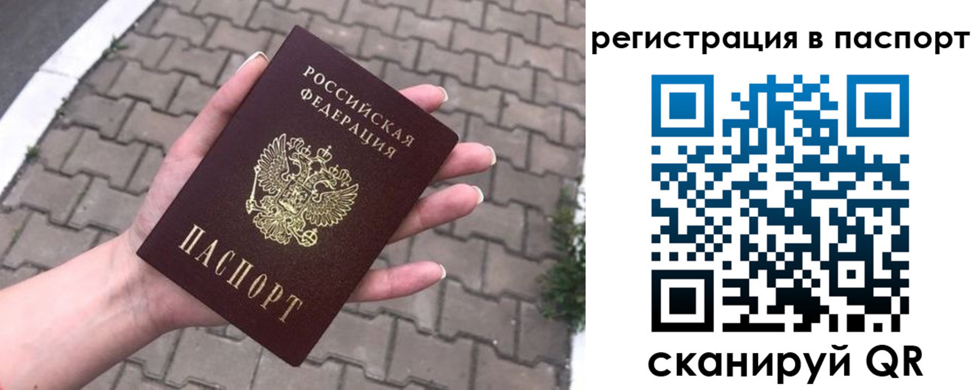 временная регистрация поиск в Батайске